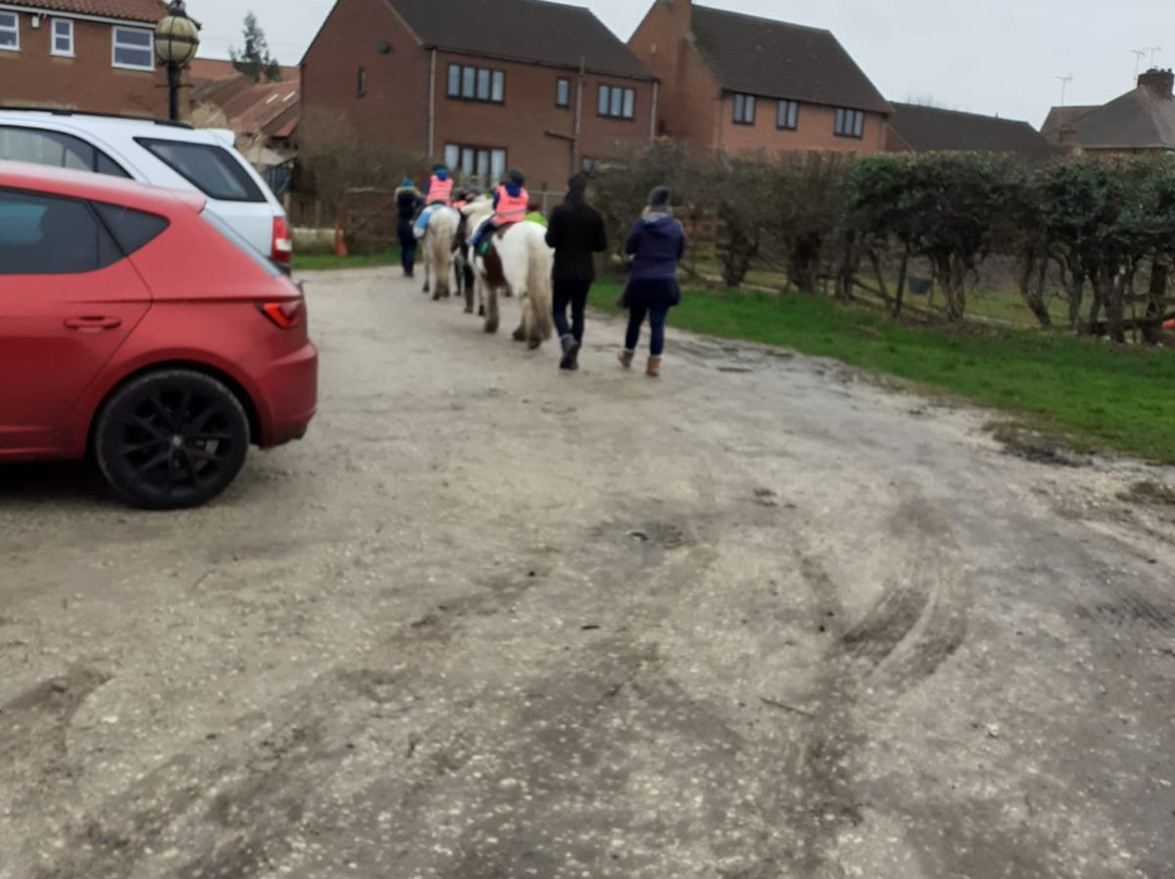 Sherwood Forest Trekking Centre景点图片