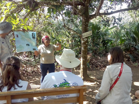 Jacana Tours Heart of Palm tours-希门尼斯港必去景点