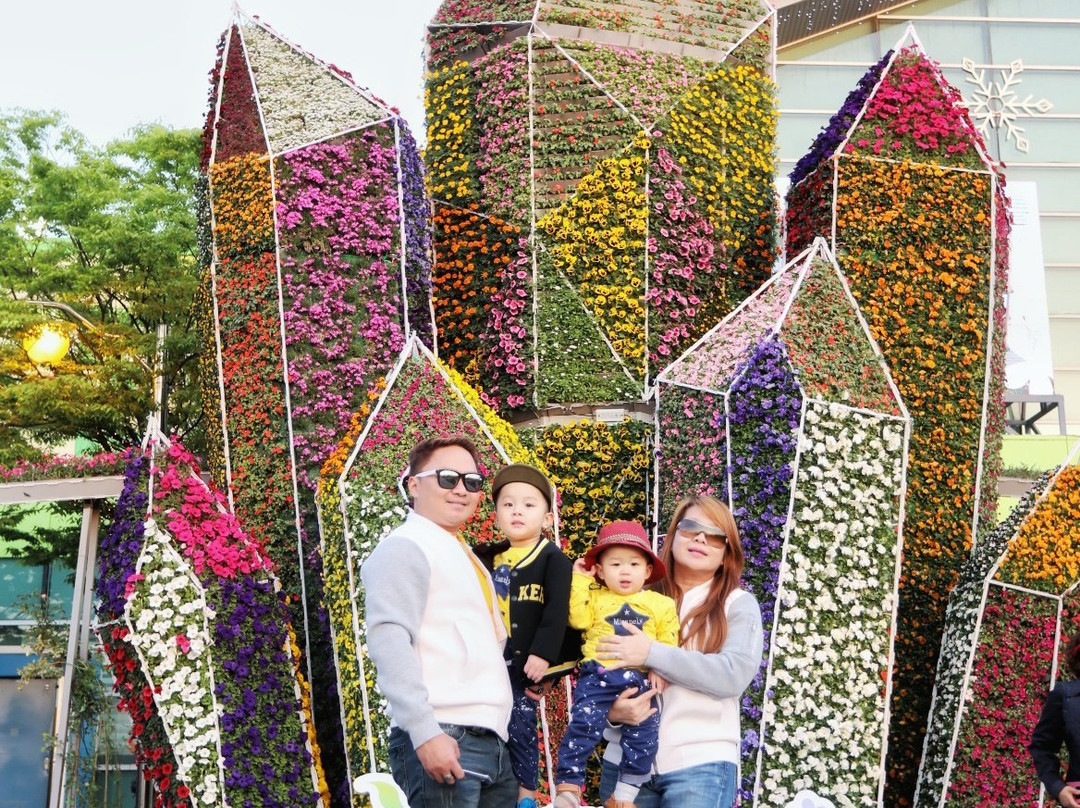 Ilsan Lake Park-高阳市必去景点