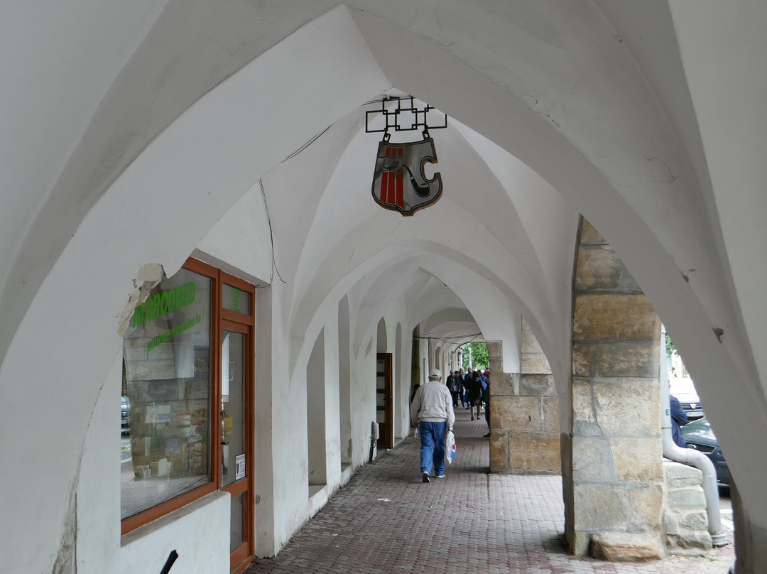 Casa Argintarului景点图片