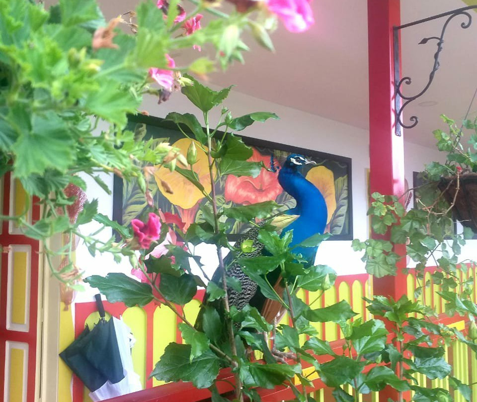 Hotel Bamboo Boutique主图