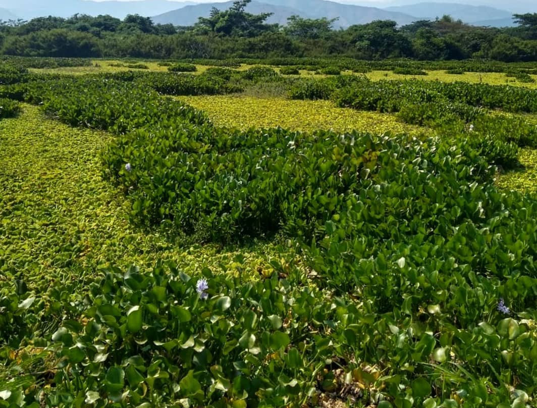 Laguna el Sonso-Buga必去景点