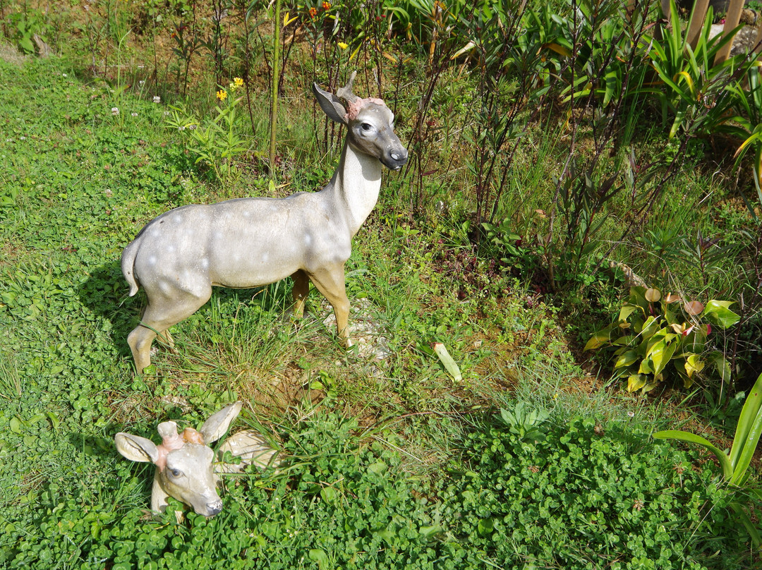 Mesilou Highland Strawberry Farm-昆达山必去景点