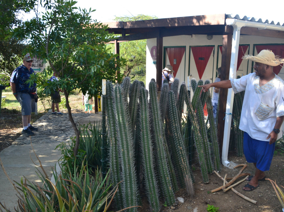 Cultural Park Mangazina di Rei-Kralendijk必去景点