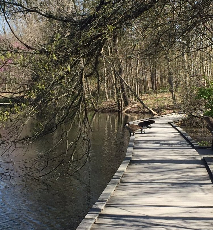 Days Inn by Wyndham Batavia Ohio主图