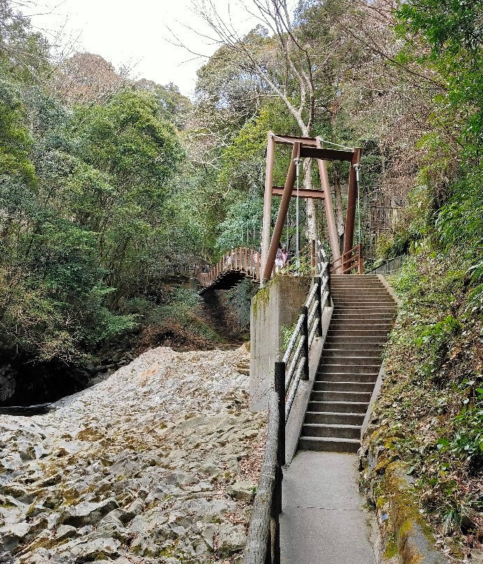Kawazu Odoriko Takimi Bridge景点图片