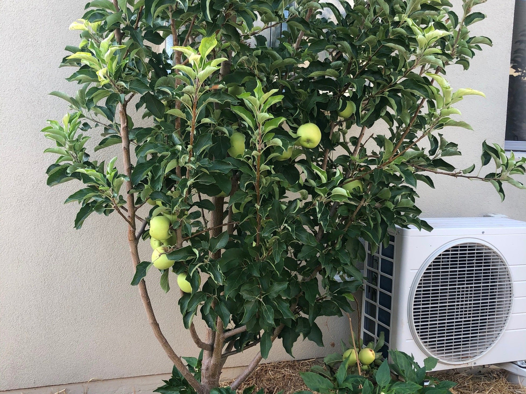 Great Northern Lodge主图