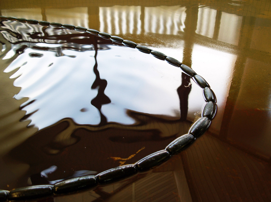 Toyotomi Onsen Fureai Center-丰富町必去景点