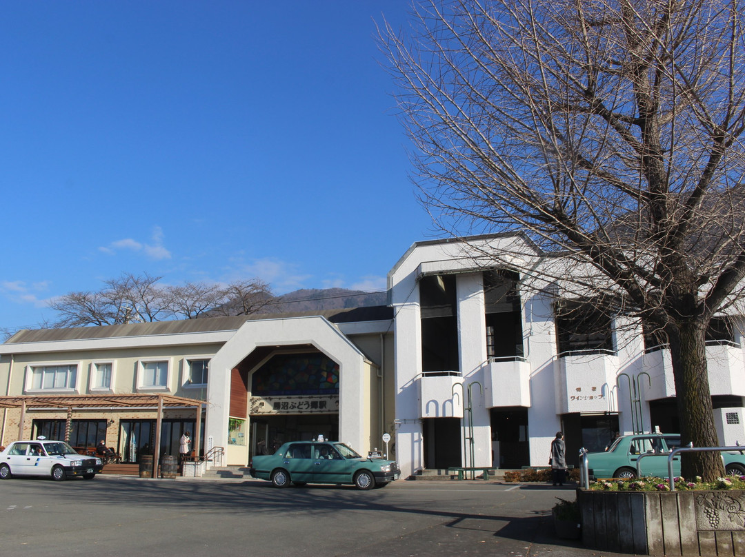 JR Katsunuma Budokyo Station Tourist Information Center-甲州市必去景点