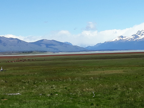 Lago Roca-埃尔卡拉法特必去景点