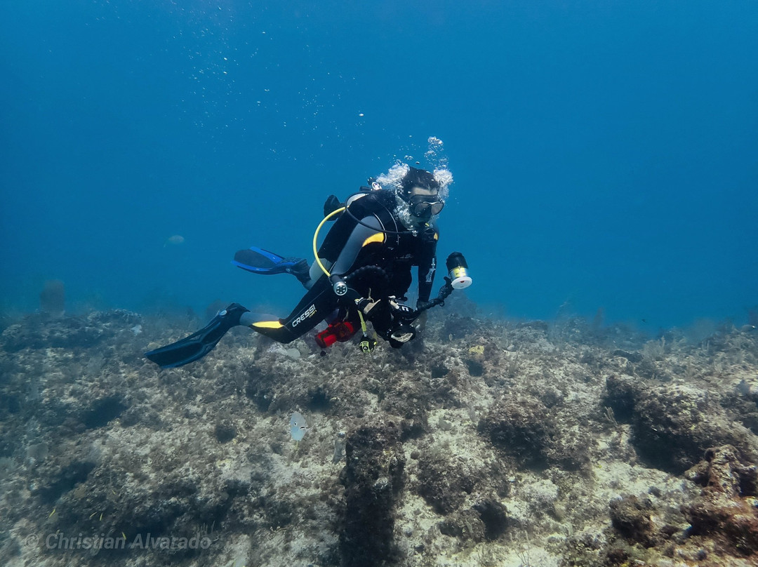 Global Dr Tours-巴瓦罗必去景点