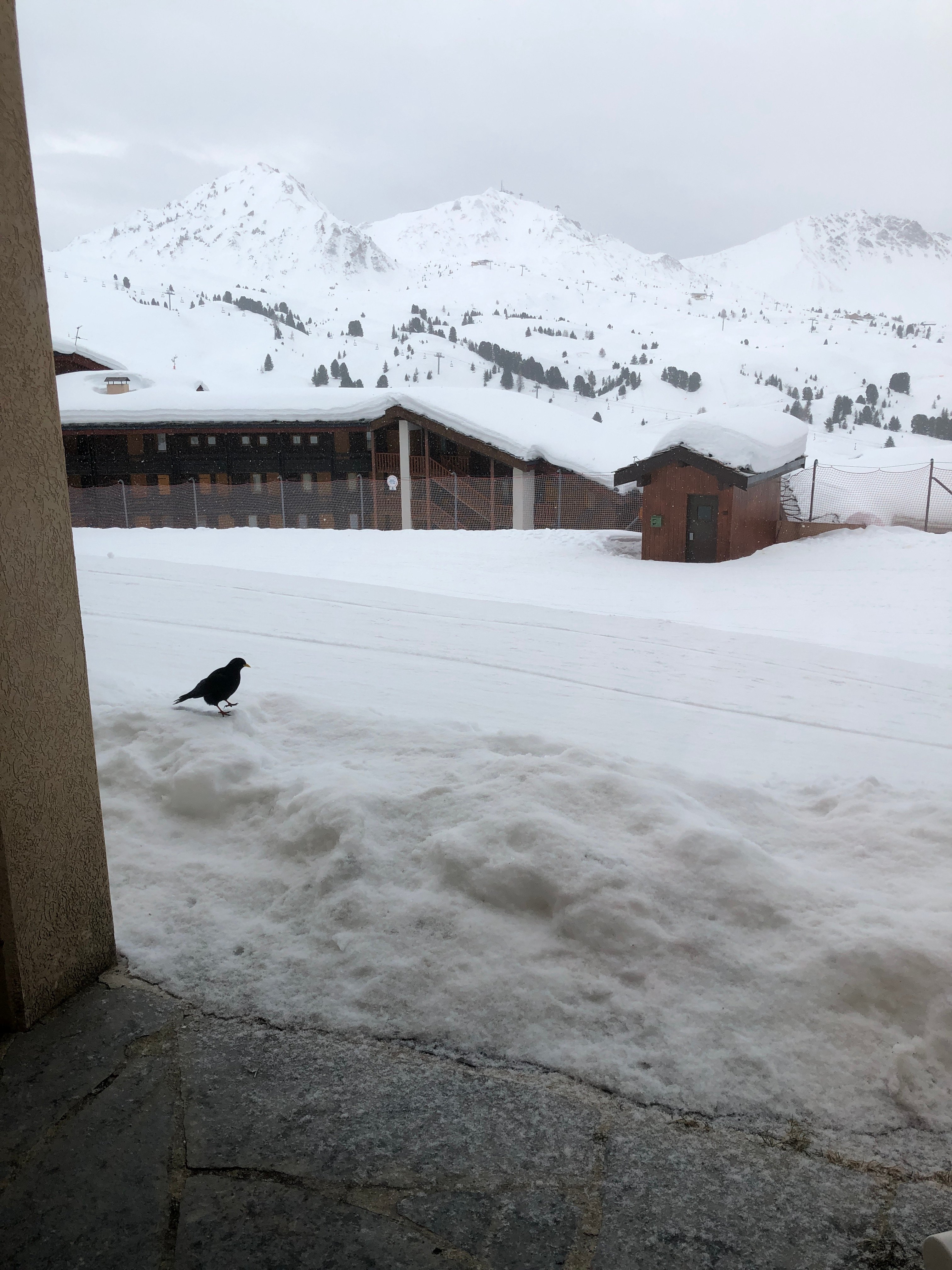 Pv Residence Les Constellations La Plagne Hotel-官方