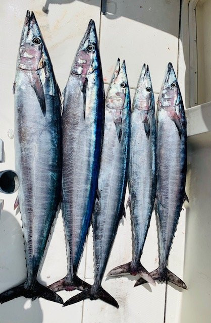 Captain Cook Charters-Christiansted必去景点