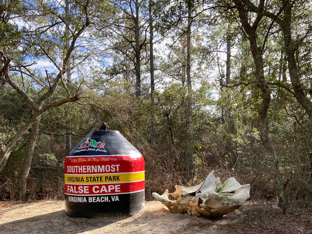 False Cape State Park-弗吉尼亚海滩必去景点