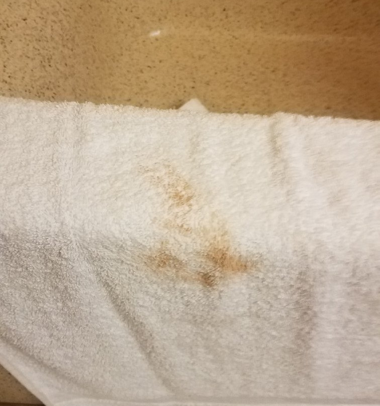 Extended Stay America Select Suites – Memphis – Cordova, TN主图