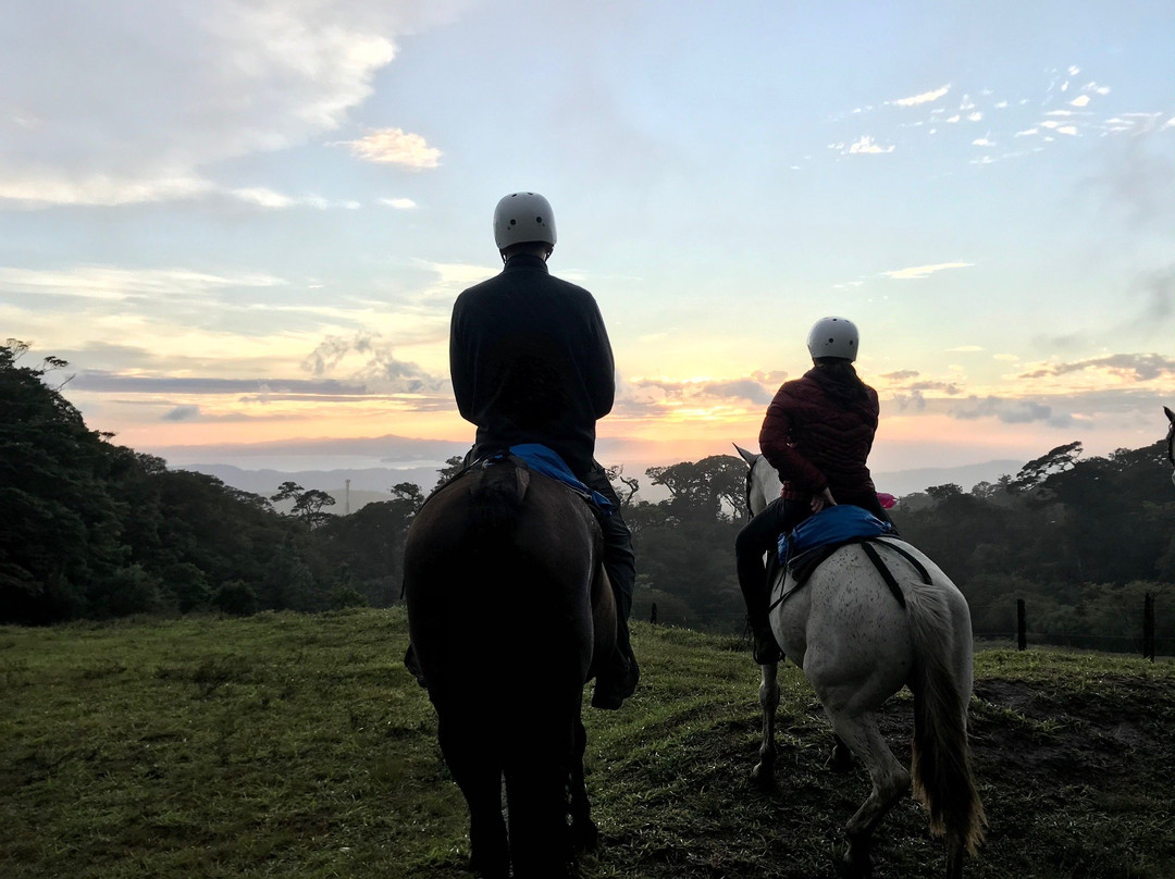 Martin Tours-蒙特沃德必去景点