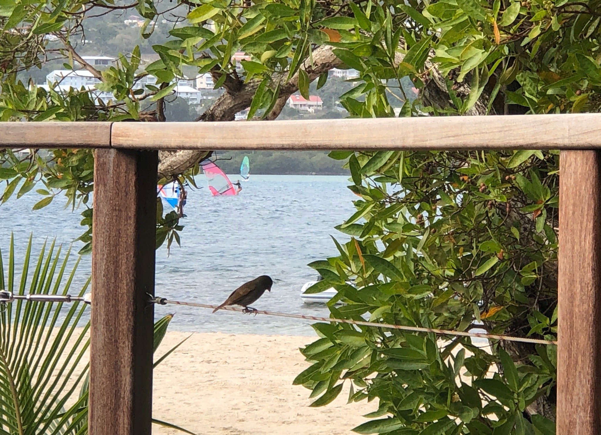 Club Med Les Boucaniers - Martinique-官方