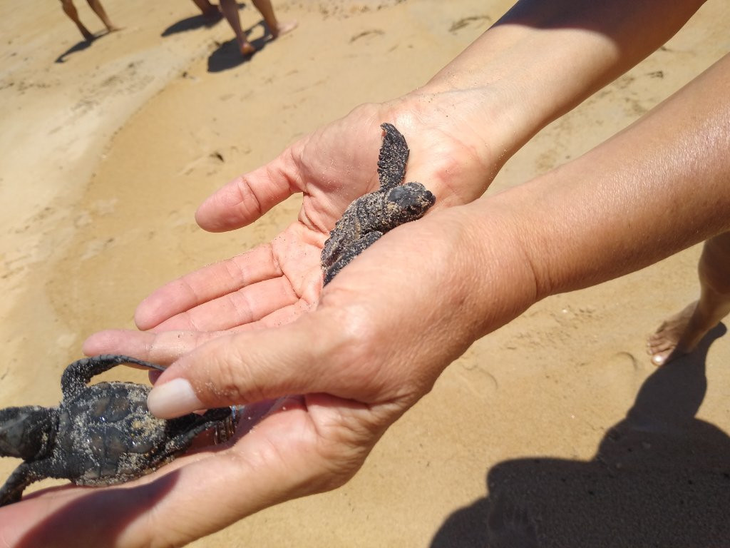 Urussuquara Beach景点图片