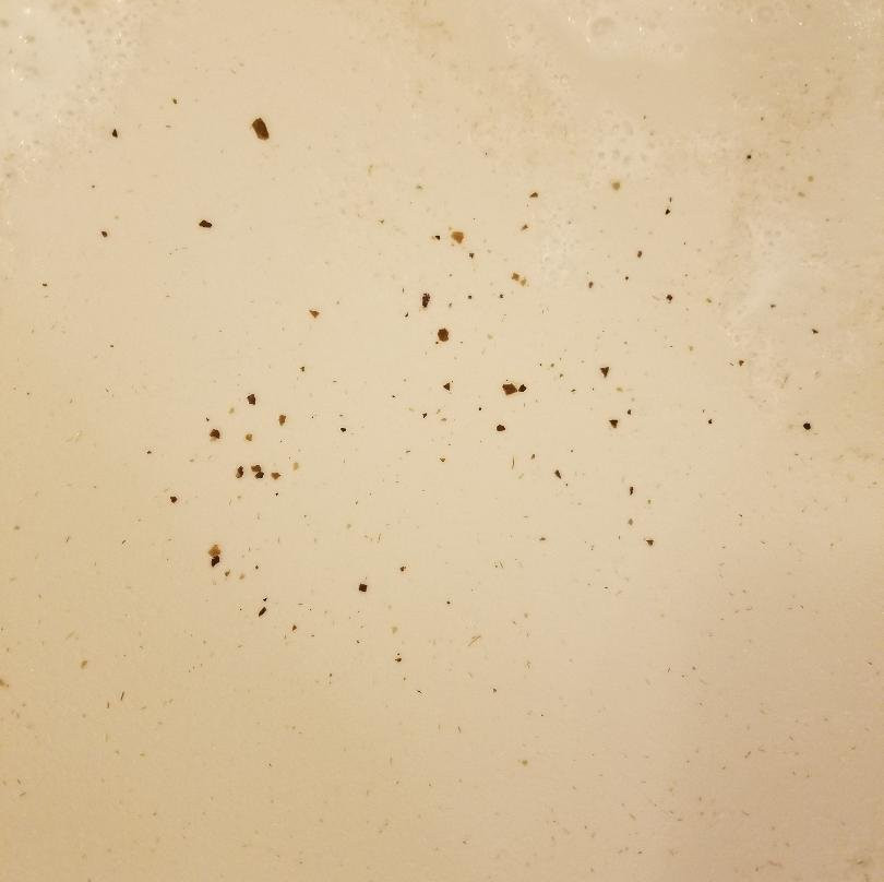 Comfort Suites University主图