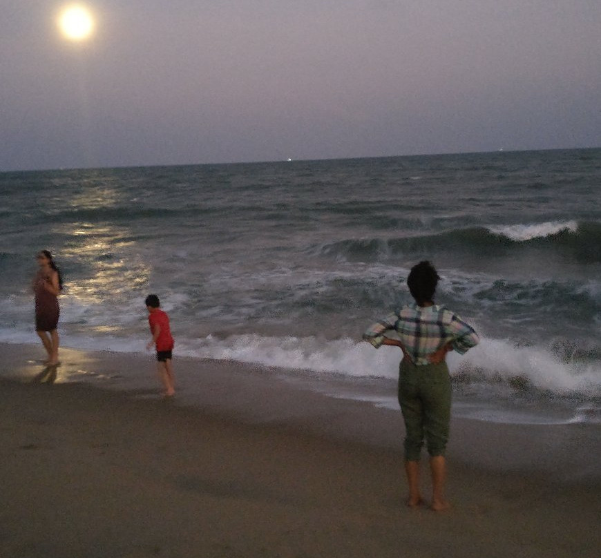 Auro Beach景点图片