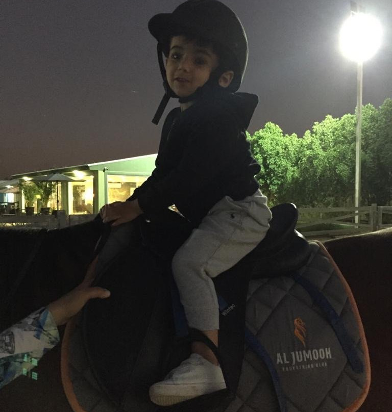 Al Jumooh-Al Awir必去景点