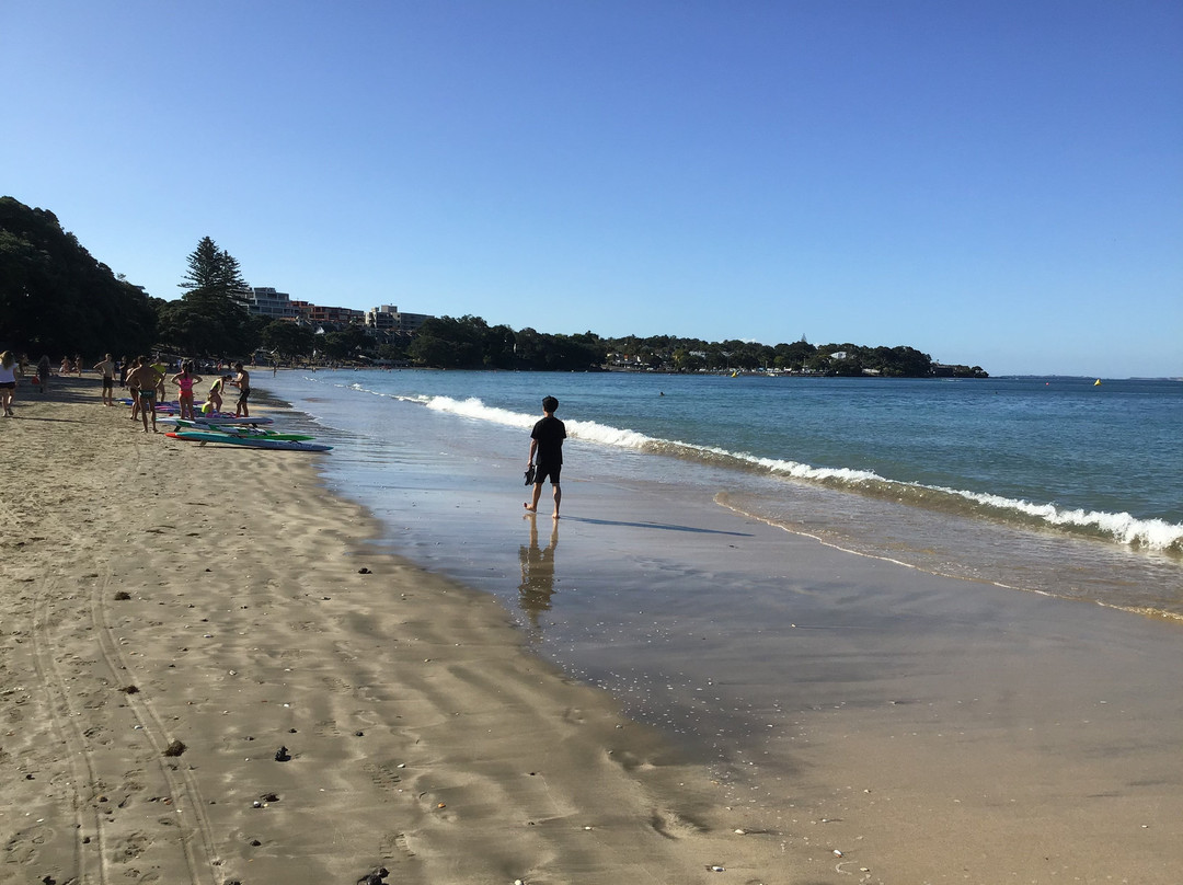 塔卡普纳海滩-奥克兰中心地区必去景点