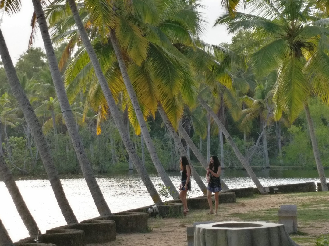 Club Mahindra Poovar主图