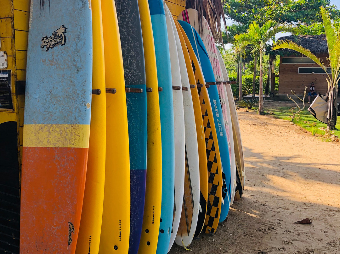 Pauhana Surf School-喀巴里特必去景点