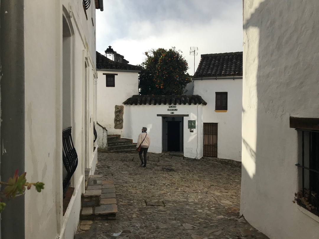 Hotel Castillo de Castellar主图