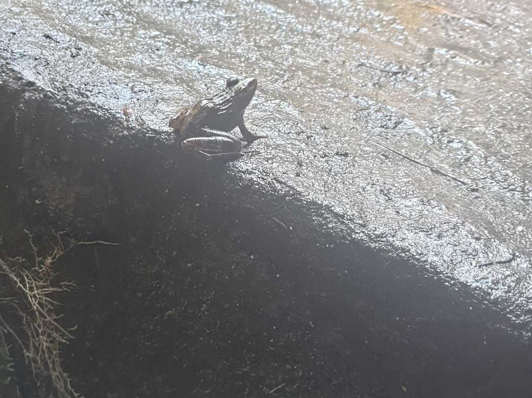 Mountain Sanctuary Park-Magaliesburg必去景点