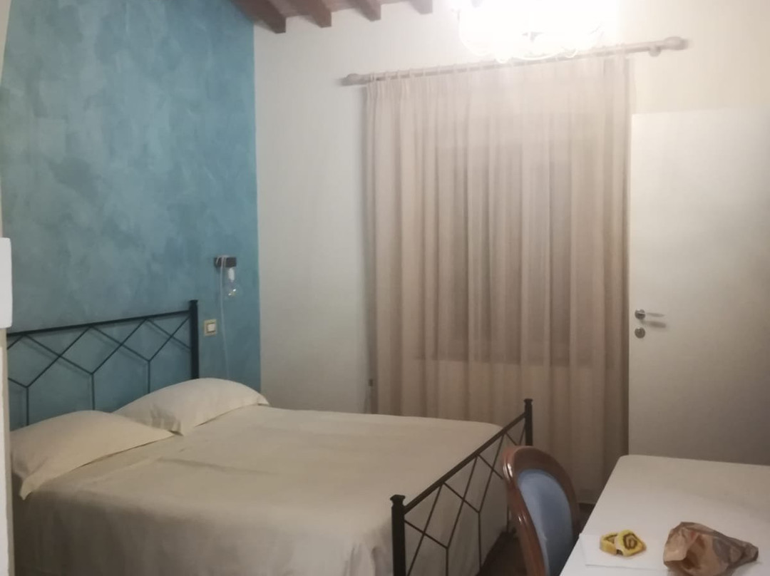 Fattoria L'Olmetto主图