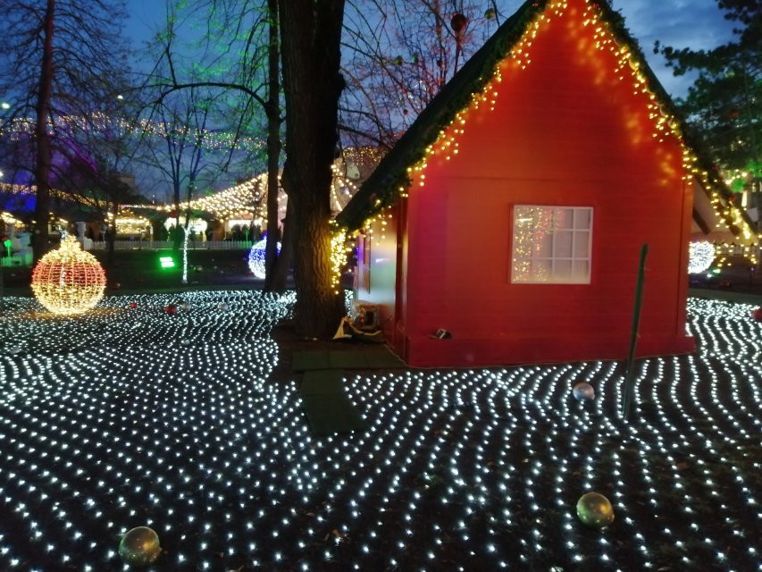 Parcul Catedralei-基希讷乌必去景点