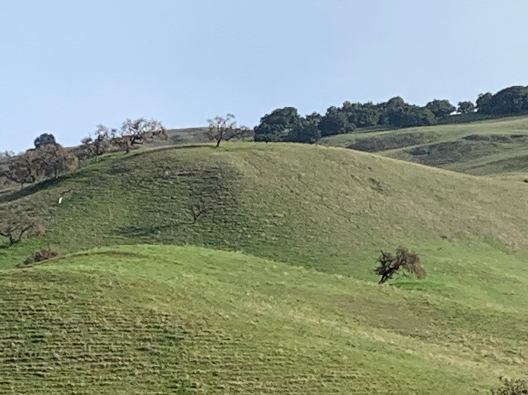 Coyote Lake Harvey Bear Ranch County Park-吉尔罗伊必去景点