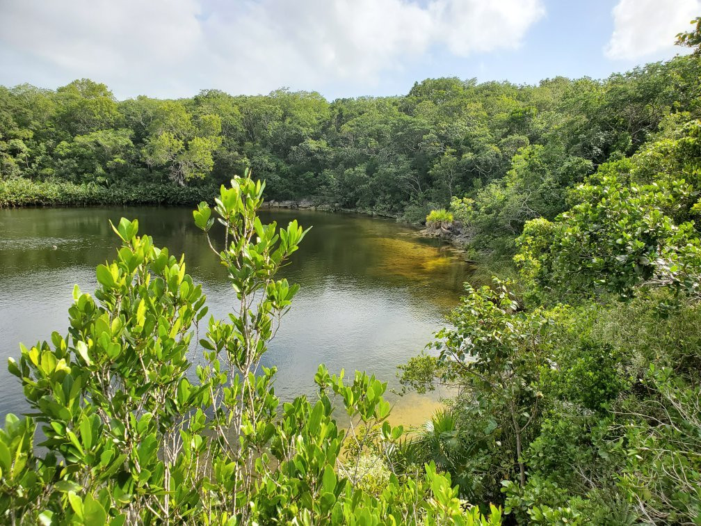 Cottage Pond-North Caicos必去景点