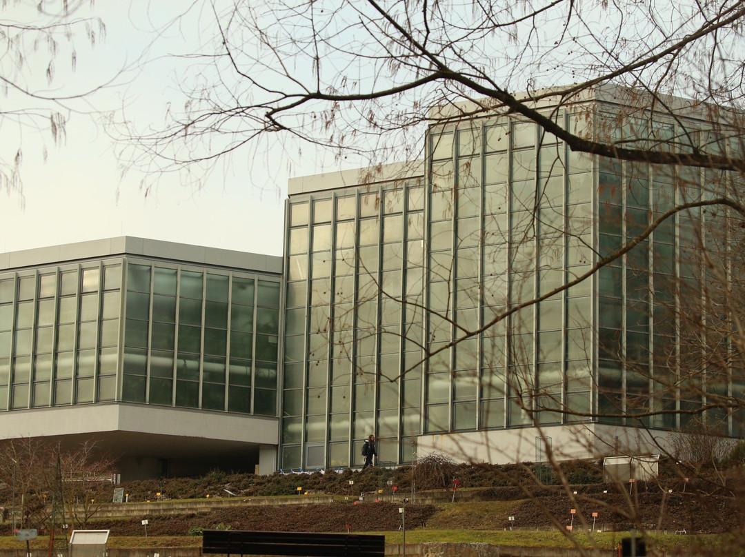 Botanischer Garten der Universitat Tubingen景点图片