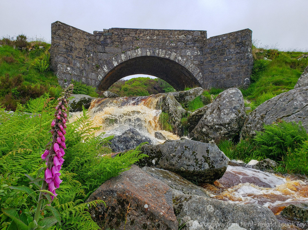 Guinness Lake-Wicklow必去景点