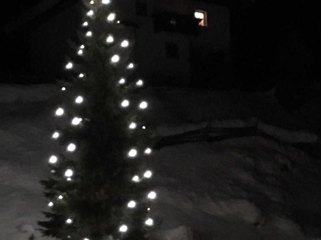 Hotel Restaurant Waldheim主图