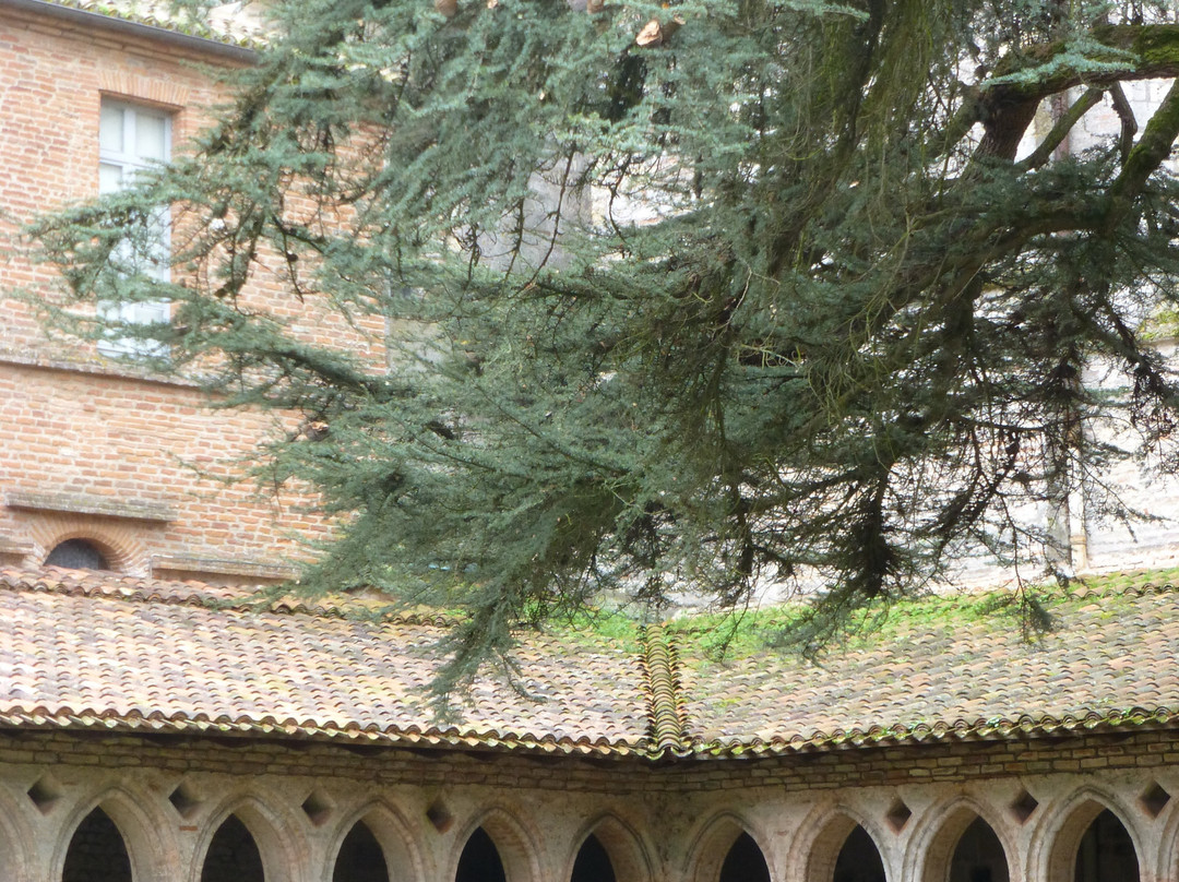 Abbaye Saint-Pierre-es-Liens景点图片