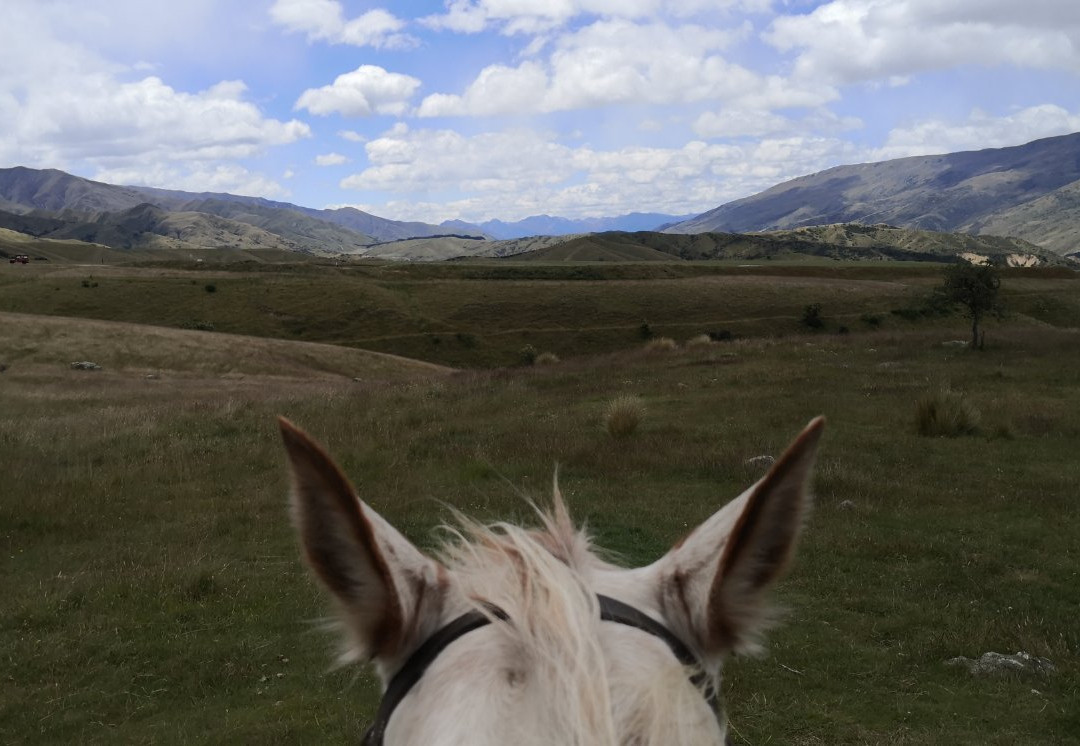 Back Country Saddles景点图片