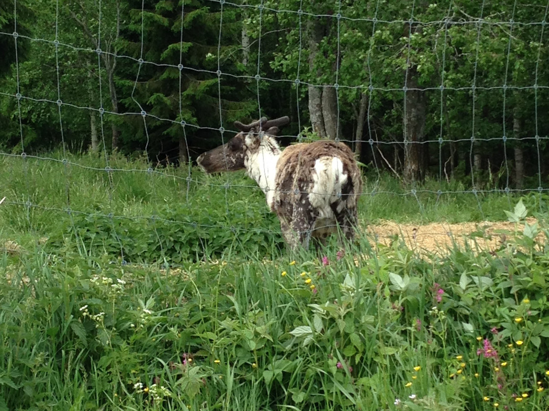 Maanselän Etappi-Sotkamo必去景点