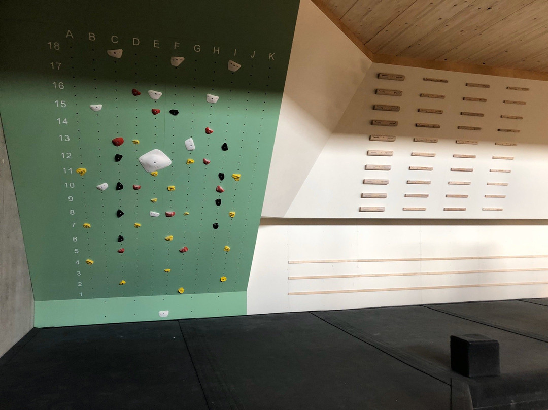 Blocwald Boulderzentrum VS景点图片