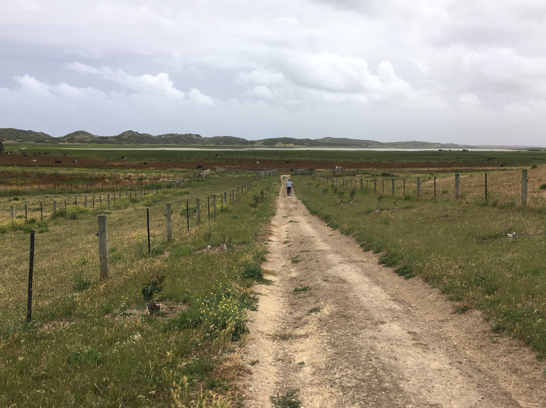 Port Fairy to Warrnambool Rail Trail-瓦南布尔必去景点
