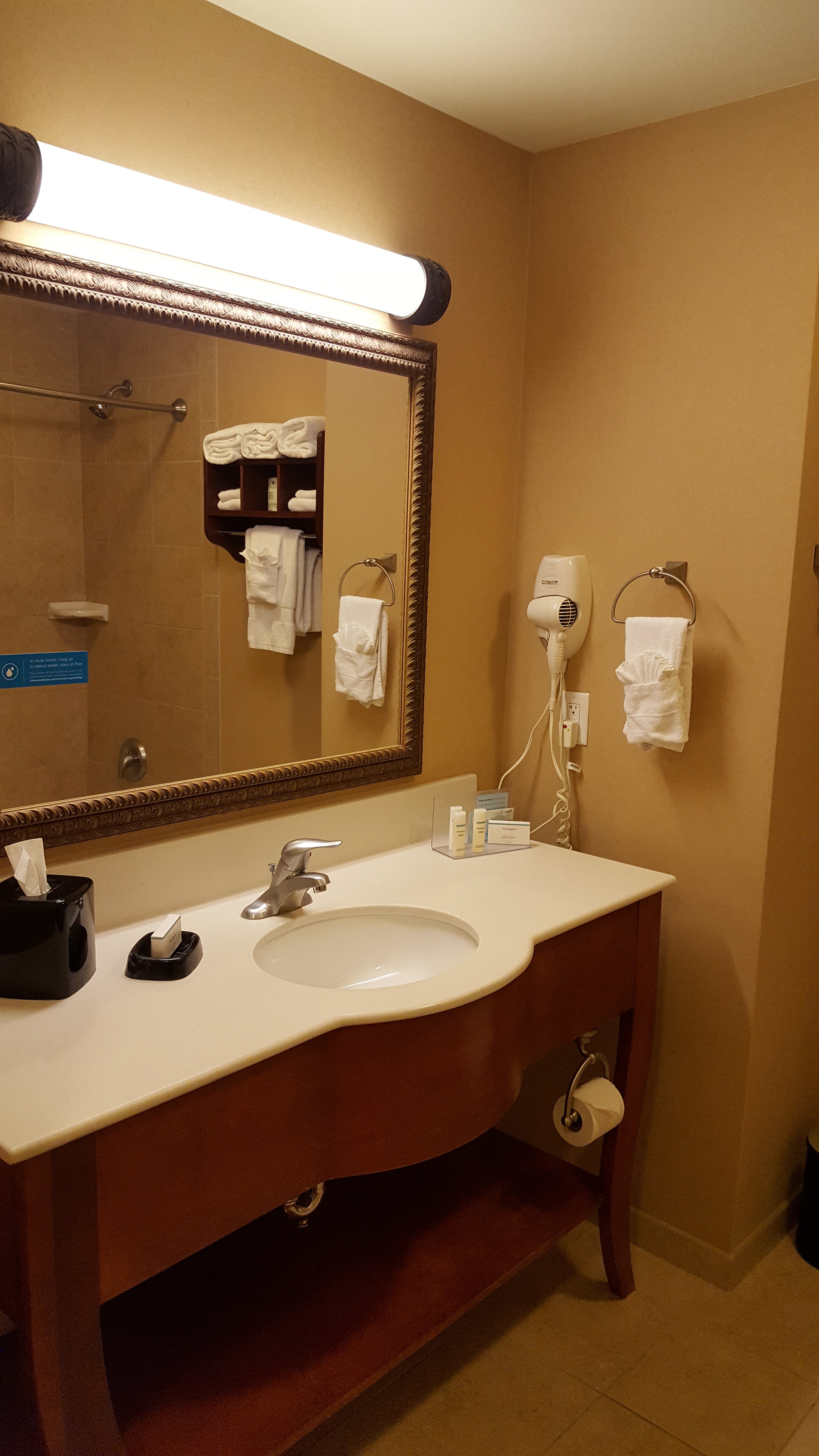 Hampton Inn & Suites Ocala - Belleview-浴室