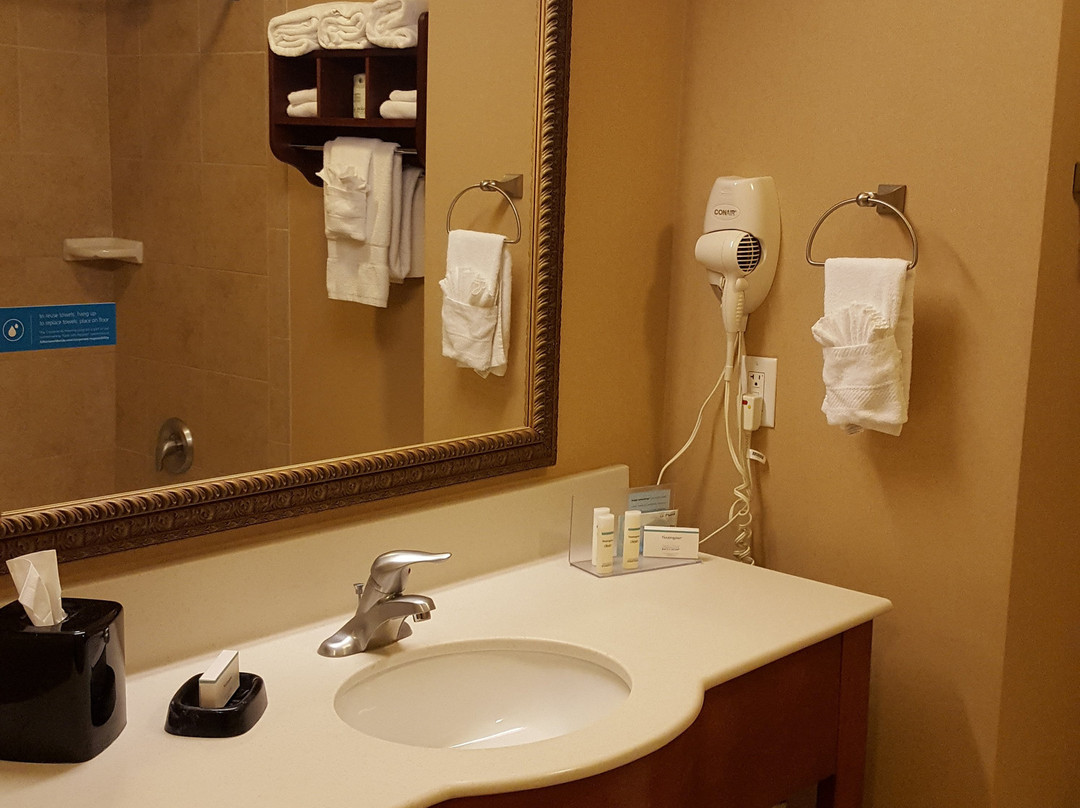 Hampton Inn & Suites Ocala - Belleview主图