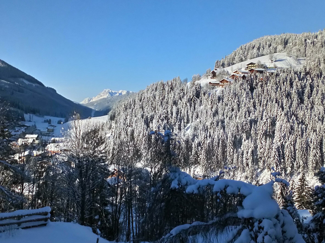 Hotel Alpenkrone主图