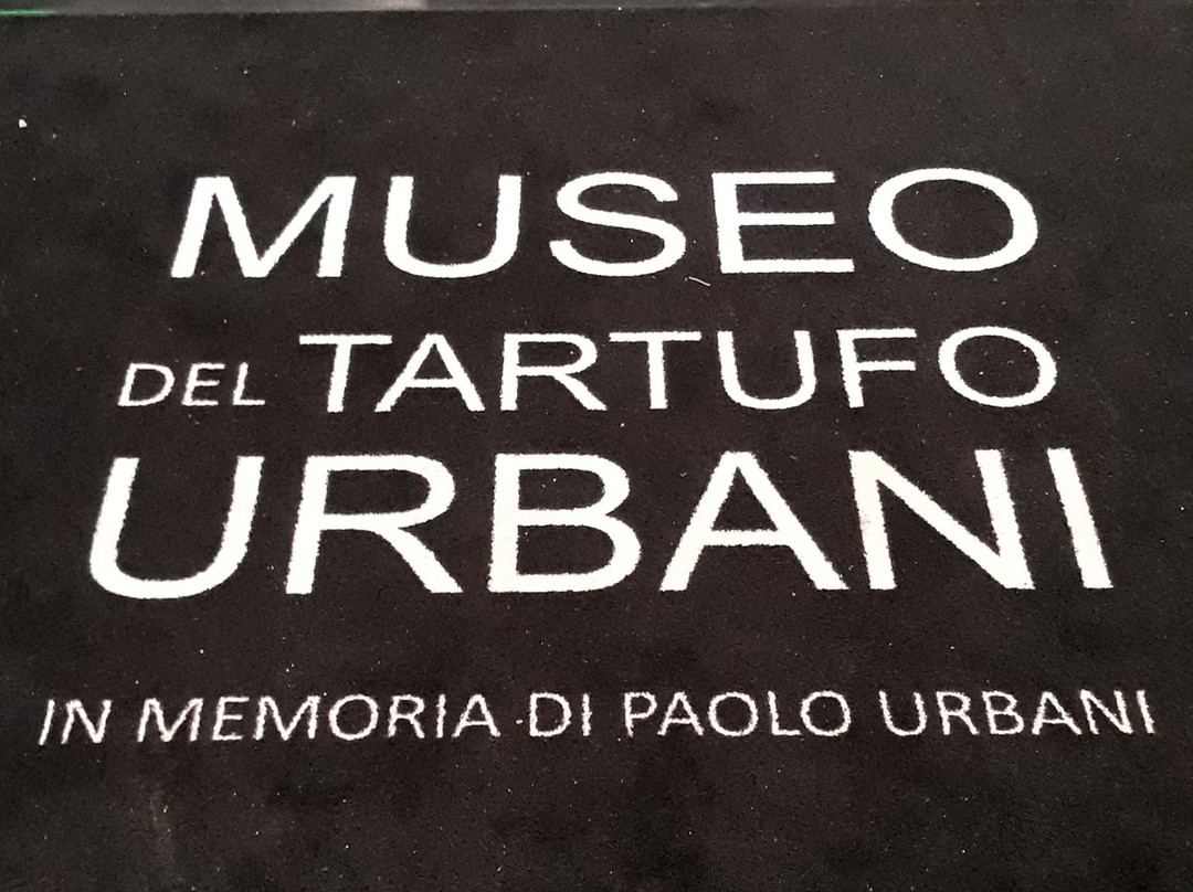 Museo del Tartufo Urbani景点图片