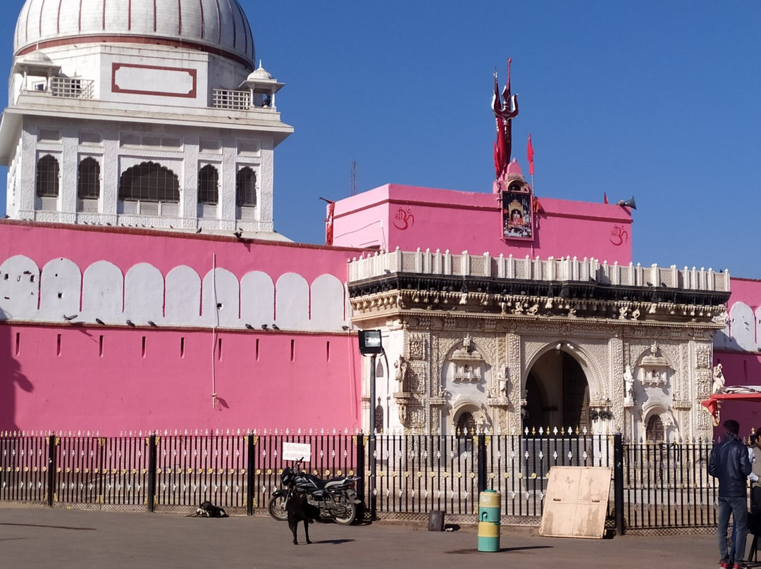 Karni Mata Temple景点图片