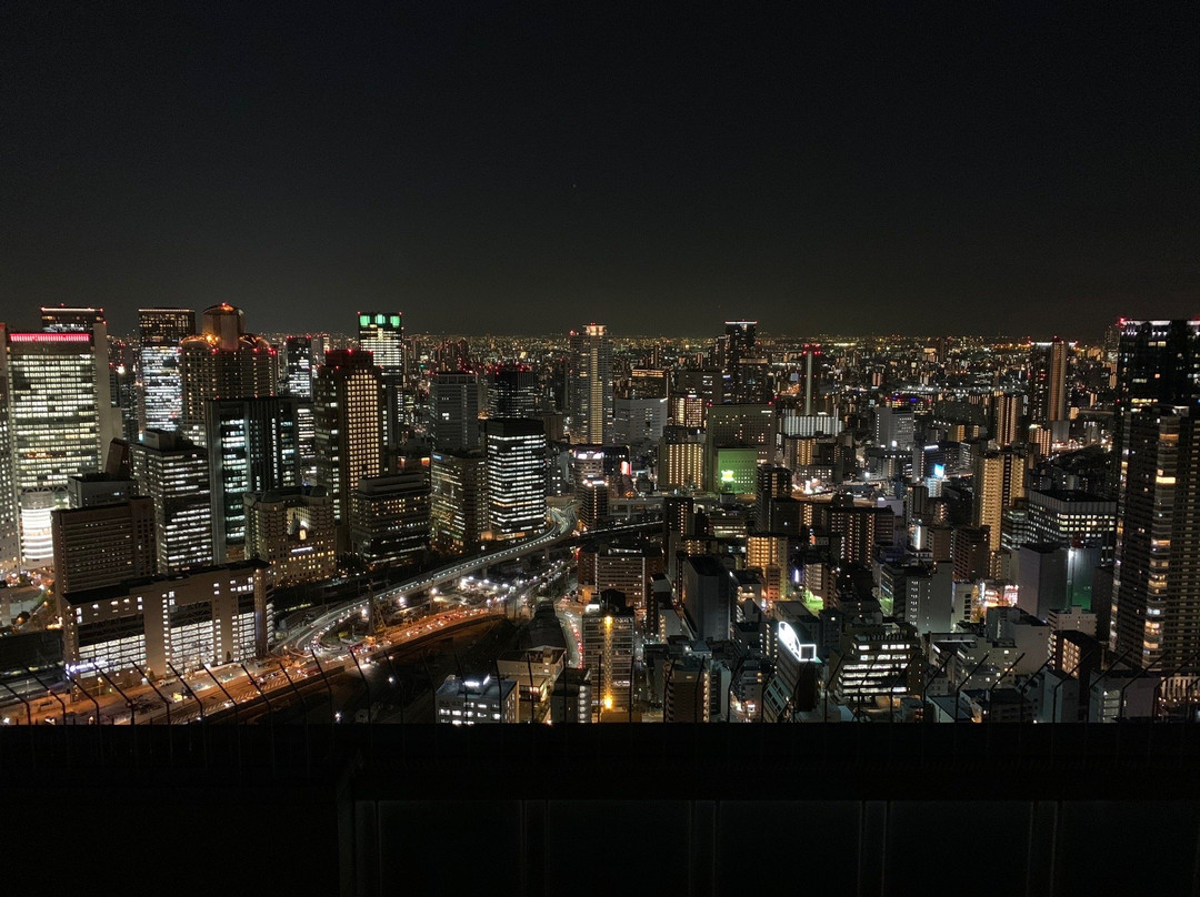 梅田蓝天大厦景点图片