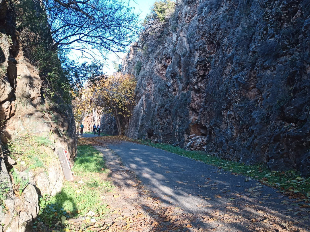 Parque Natural  Sierras Subbeticas景点图片