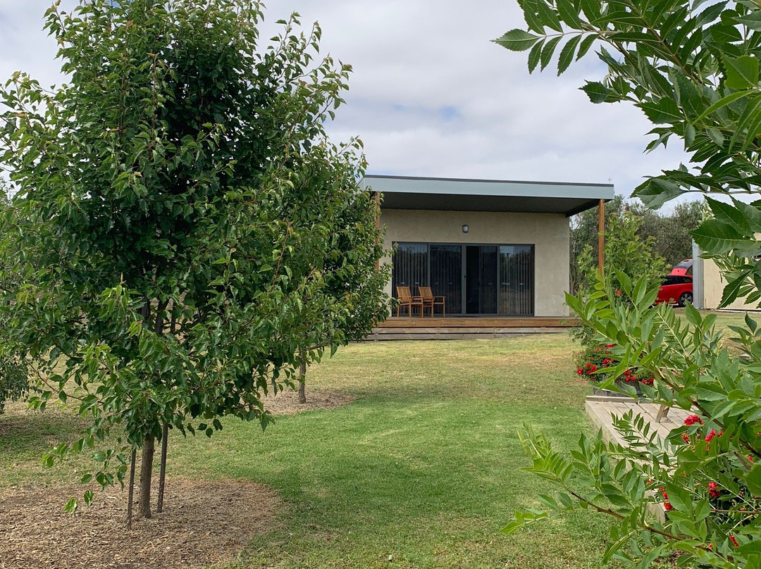 Manzanillo Grove-Drysdale必去景点